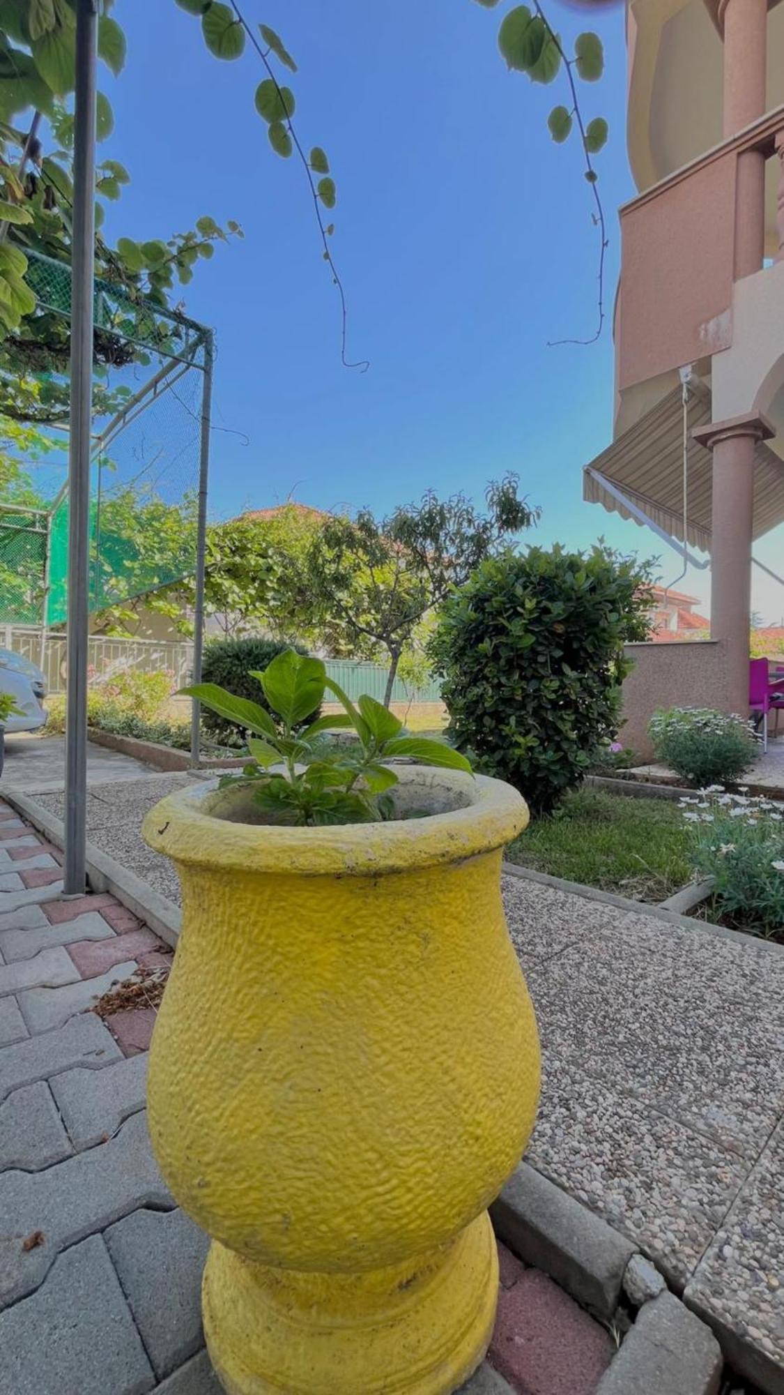 Apartments Villa Rotim Zadar Exterior photo